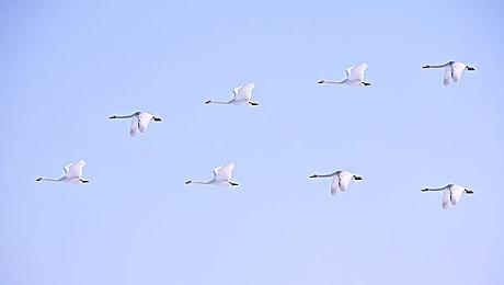 音乐游戏《最终幻想：节奏剧场》现已登录PS和Switch